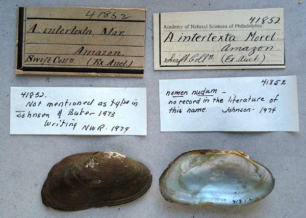 specimen