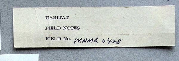 specimen