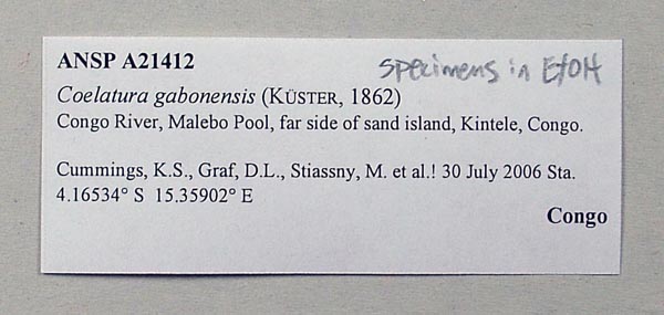 image of lot ANSP_A21412 image of lot ANSP_A21412