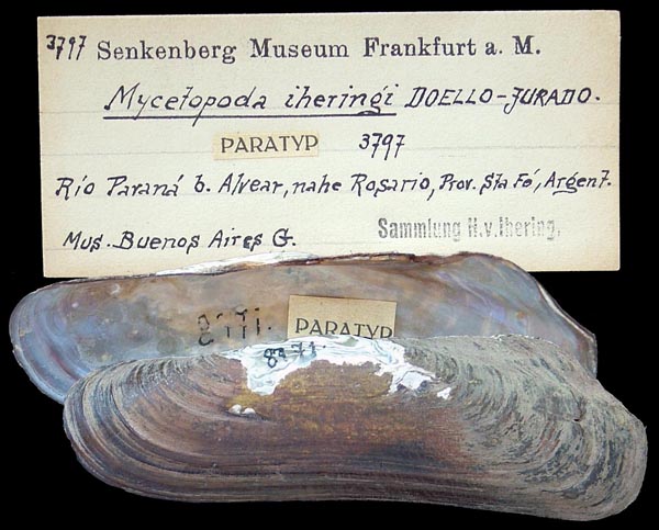 specimen