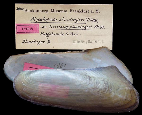 specimen