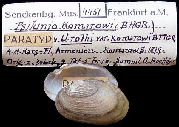 specimen