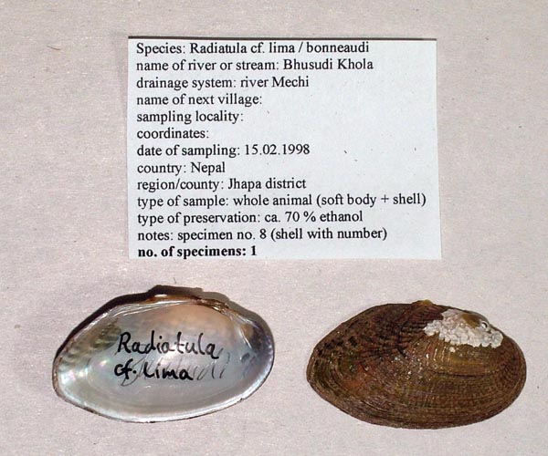 specimen