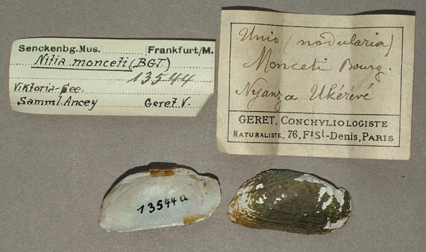 specimen
