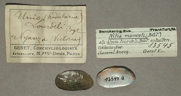 specimen