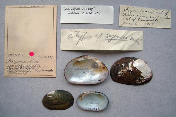 specimen