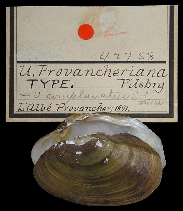 specimen