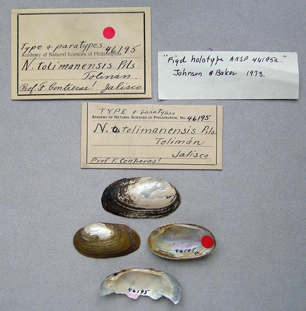 specimen