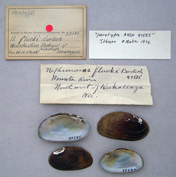 specimen