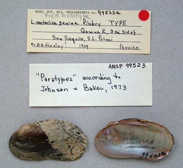 specimen