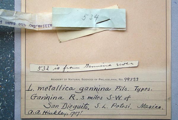 specimen