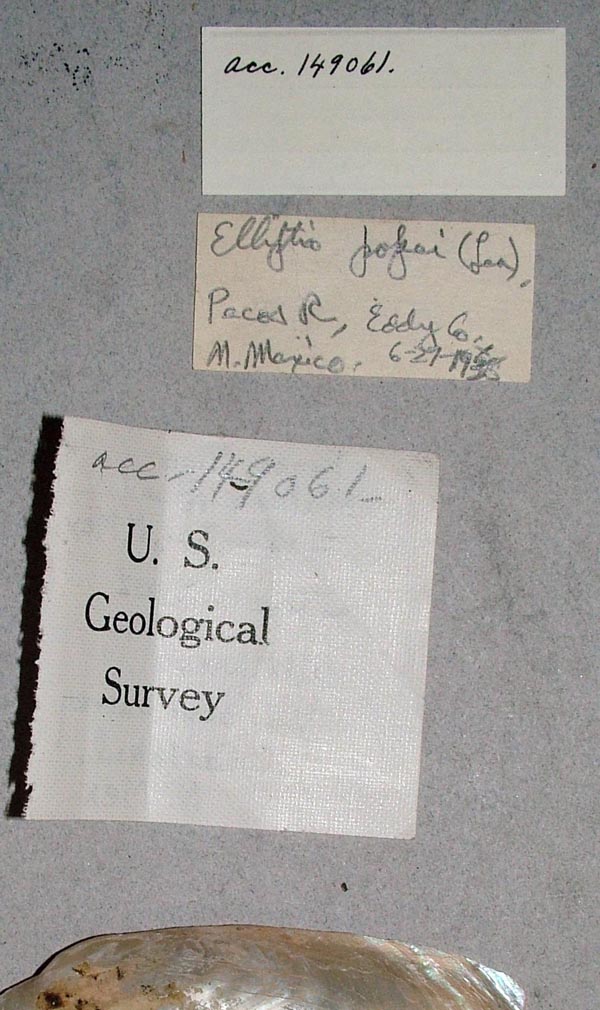 specimen