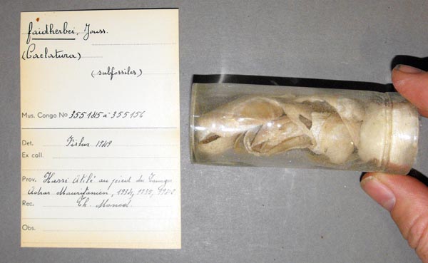 specimen