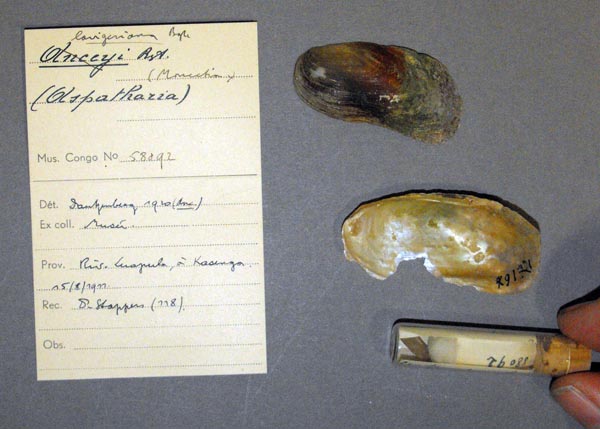 specimen