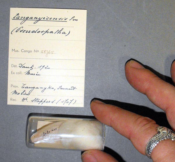 specimen