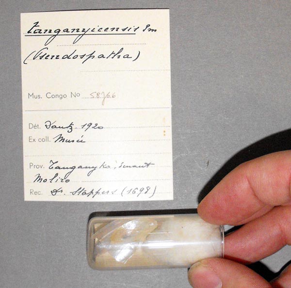 specimen