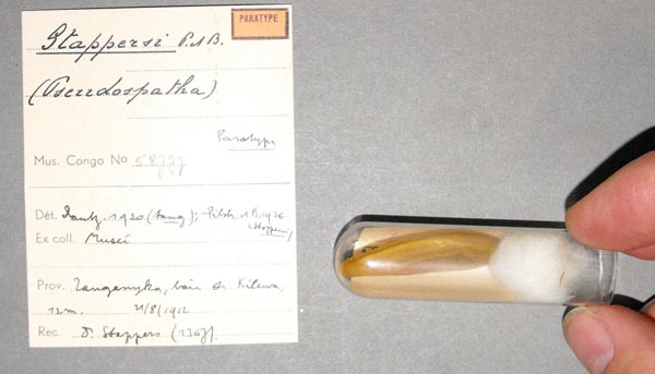 specimen