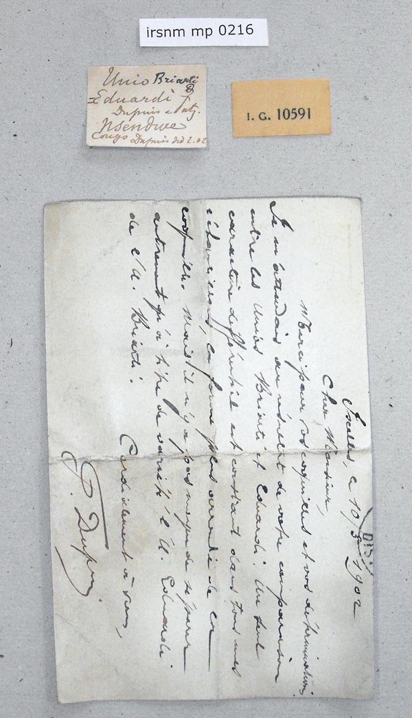 image of lot IRSNB_MP_0216 image of lot IRSNB_MP_0216