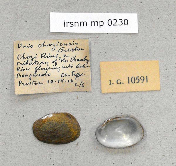 specimen