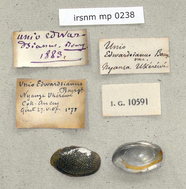 specimen