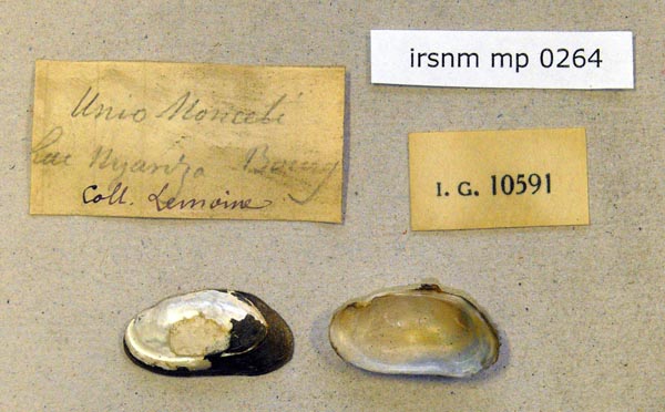 specimen