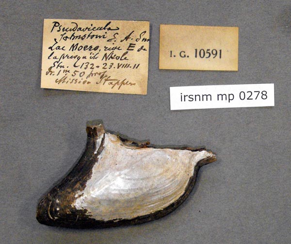 specimen