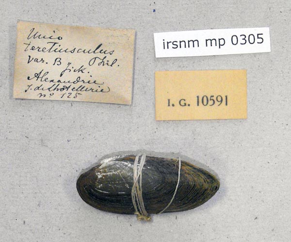 specimen