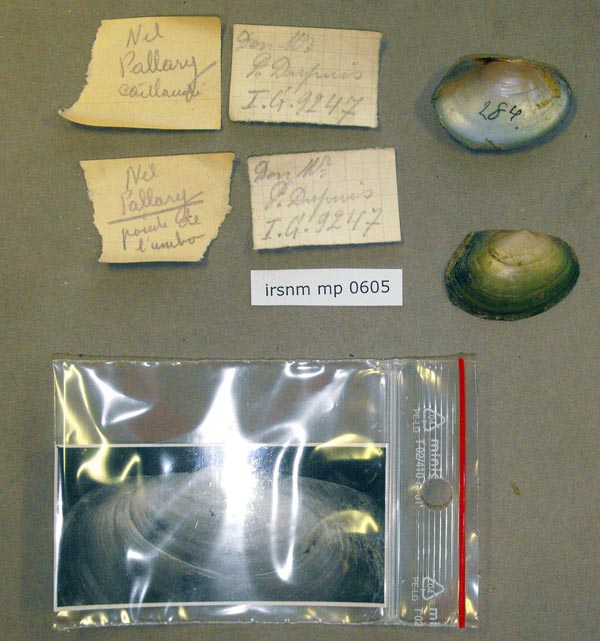 specimen