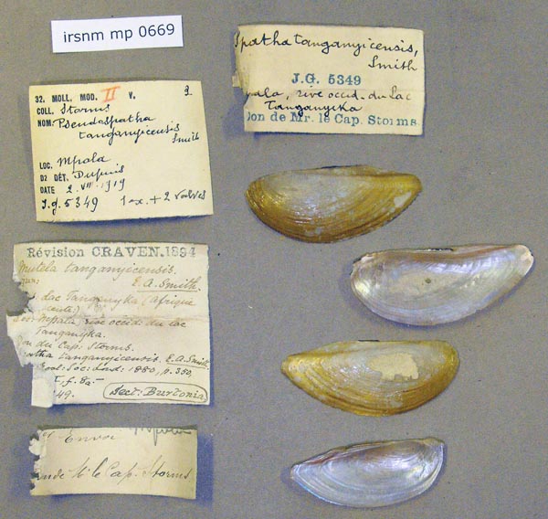 specimen