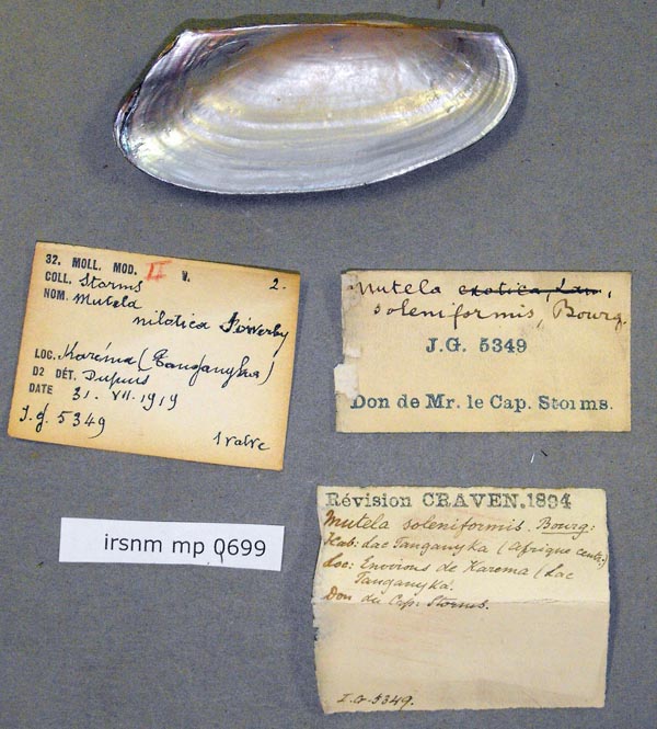 specimen