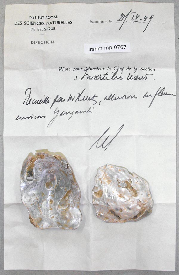 specimen