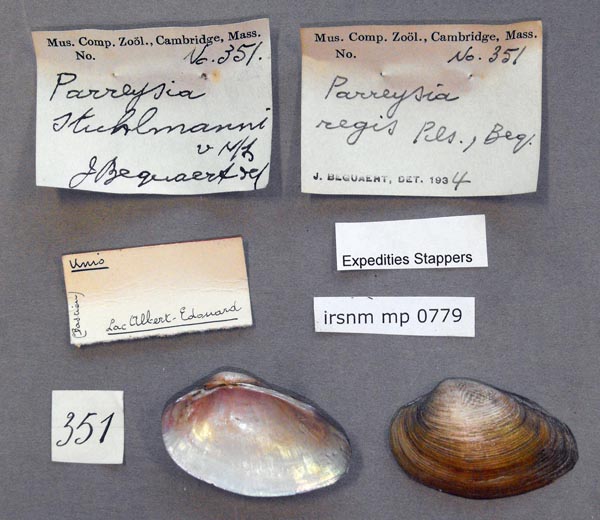 specimen