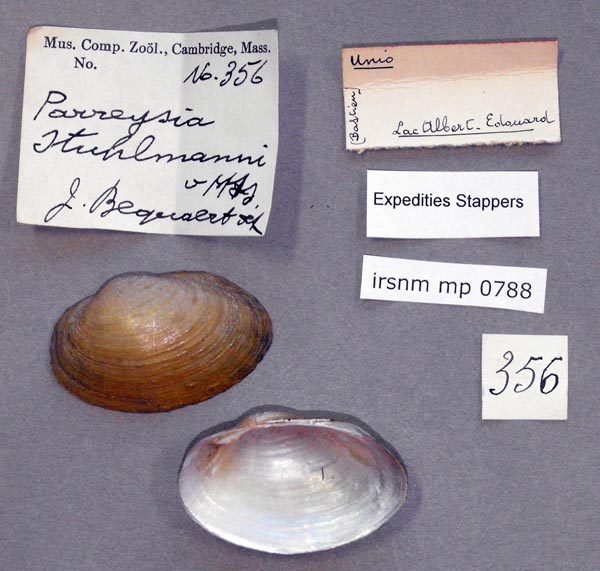 specimen