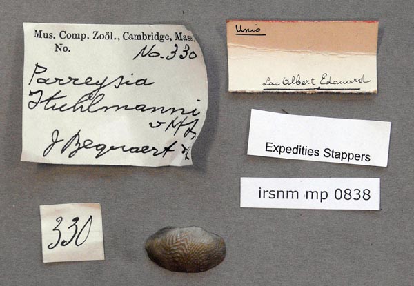 specimen