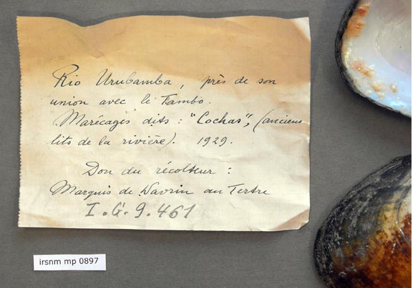specimen