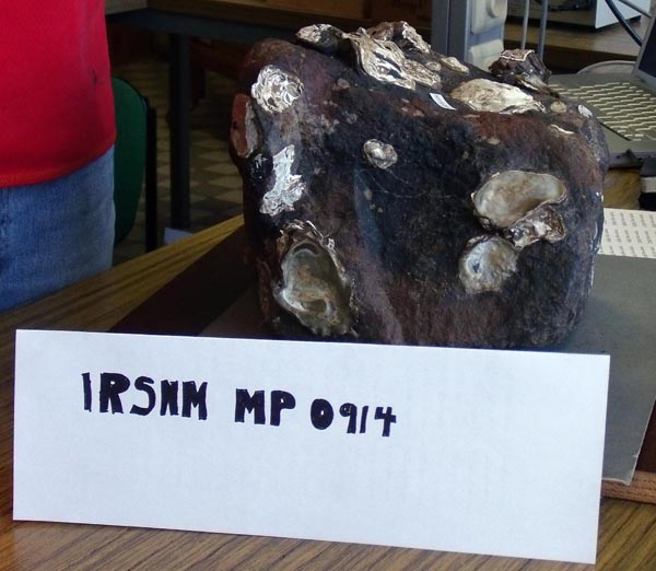 specimen