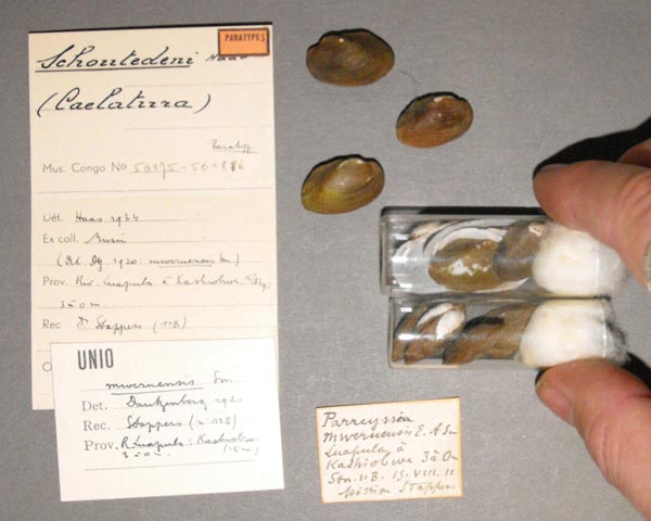 specimen