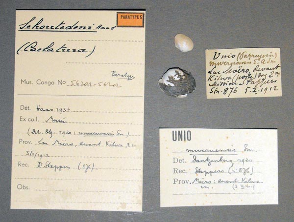 specimen