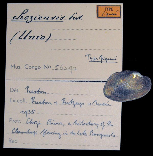 specimen