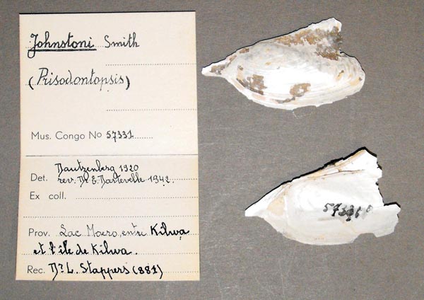 specimen