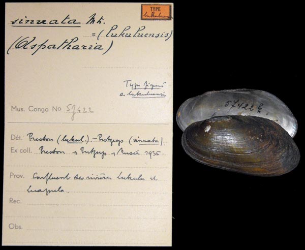 specimen