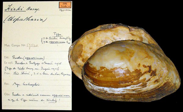specimen