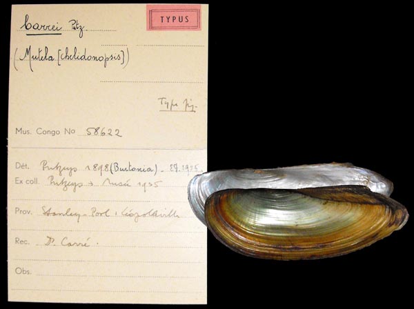 specimen