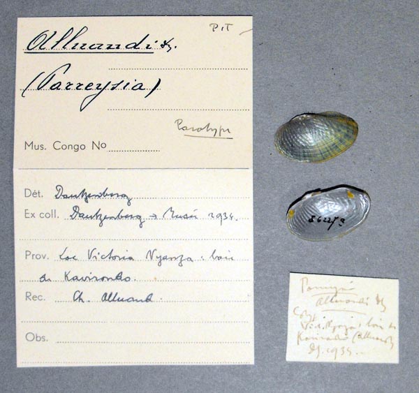 specimen