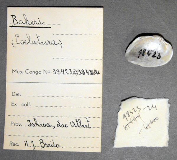 specimen