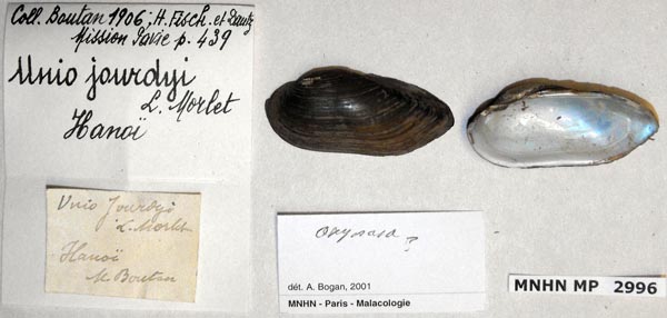 specimen