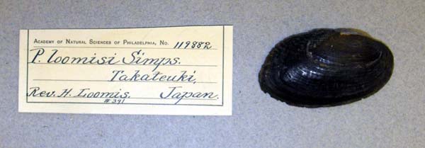 specimen