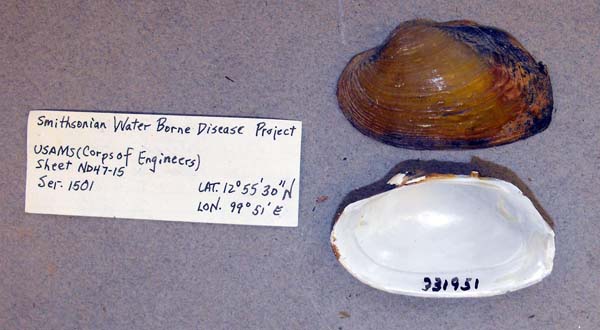 specimen