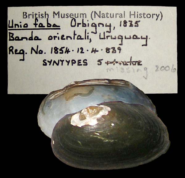 image of lot BMNH_54-12-4-839 image of lot BMNH_54-12-4-839