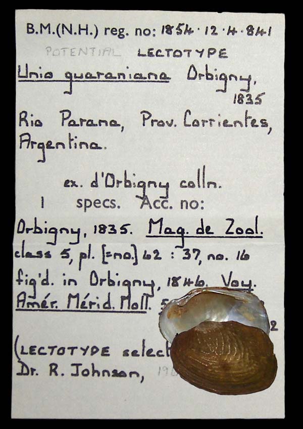 specimen